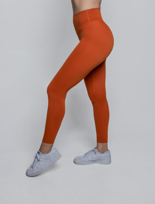 Women's Seamless Leggings - Dynamic